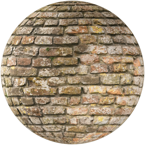 Bricks Wall English Bond Brown 04