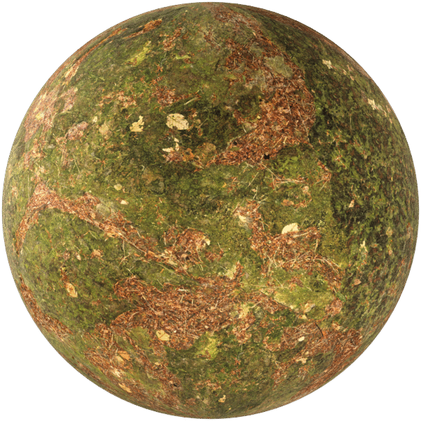 Ground Dirty With Moss Green 01