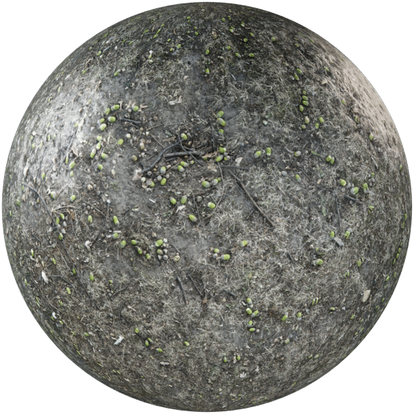 Ground Forest Mulch Grey 01