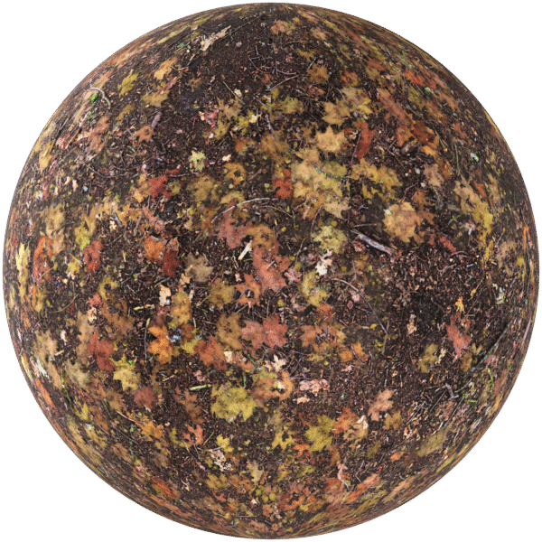 Ground Forest With Leaves Brown 03