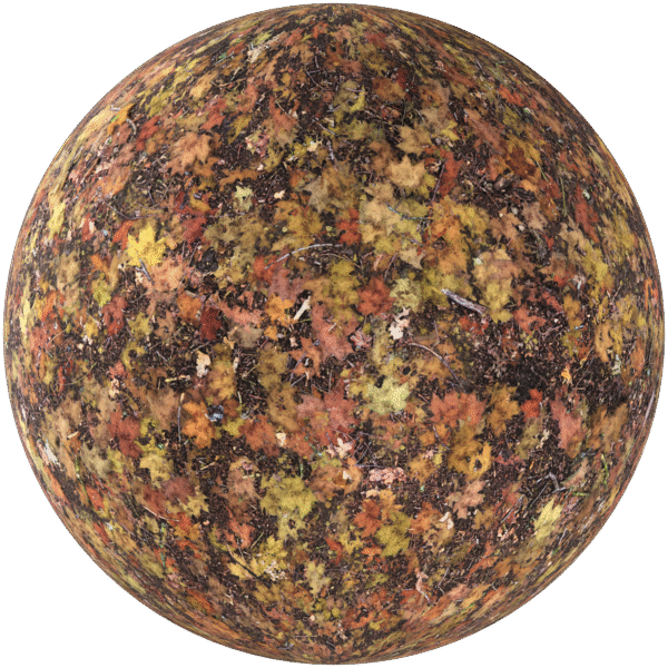 Ground Forest With Leaves Brown 04