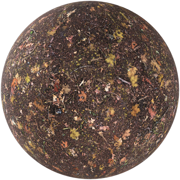 Ground Forest With Leaves Brown 05