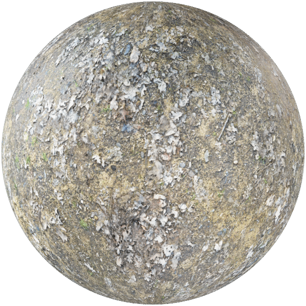 Ground Forest  With Leaves Grey 02