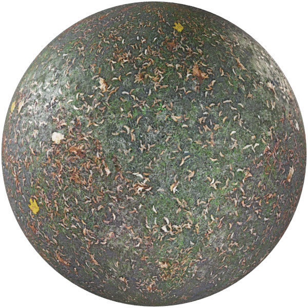 Ground Grass With leaves Green 01