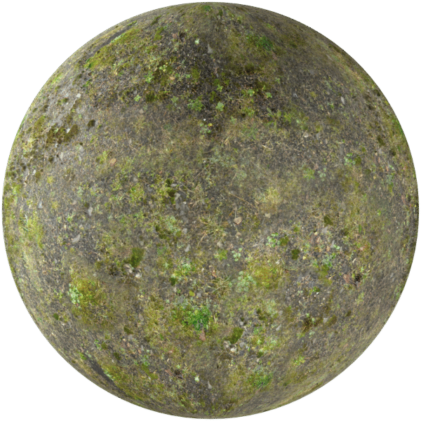 Ground Grass with moss Green 01