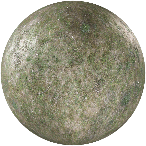 Ground Grass with moss Green 02