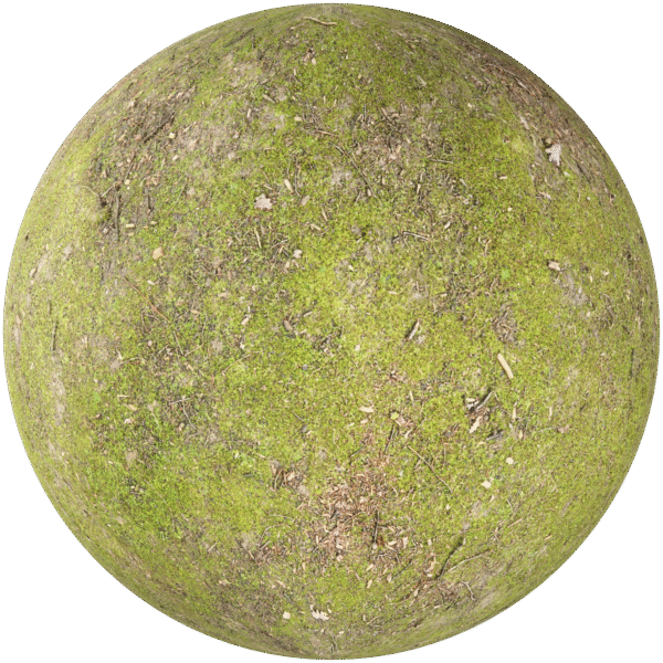 Ground Grass with moss Green 03