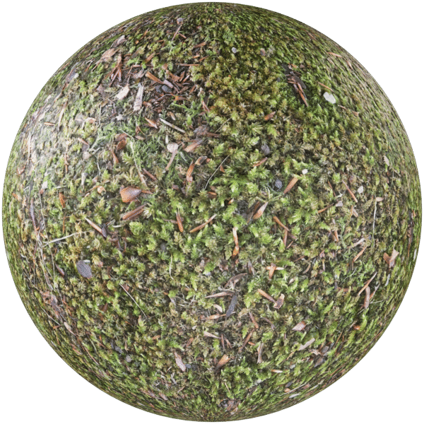 Ground Moss Dirty Pine Green 01