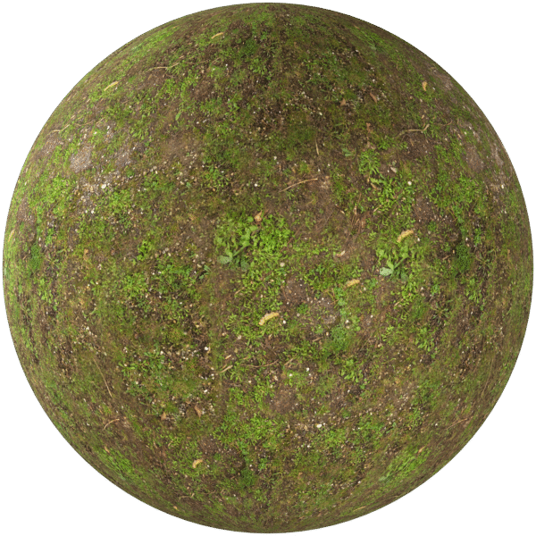 Ground With Grass Green 01