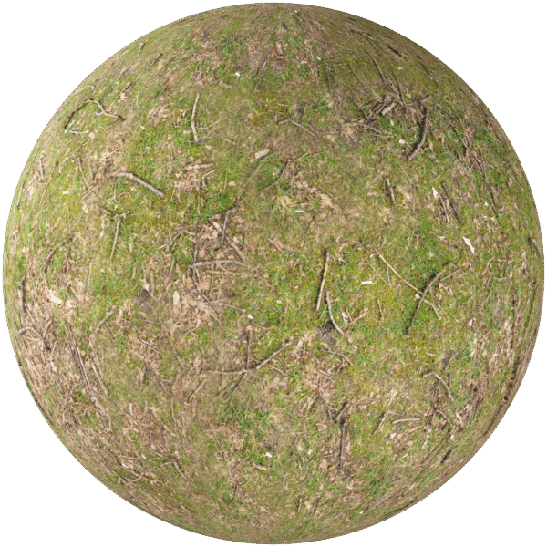 Ground With Grass Green 03