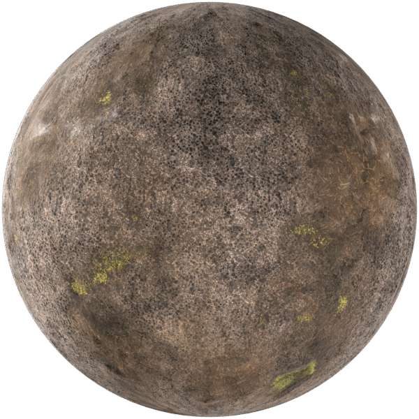 Ground Dry With Moss Brown 01