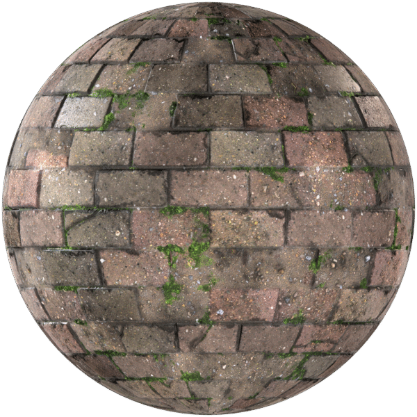 Paving Stones Brick Running With Grass Brown 05